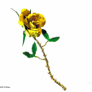 Yellow Rose
