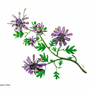 Purple Dalia