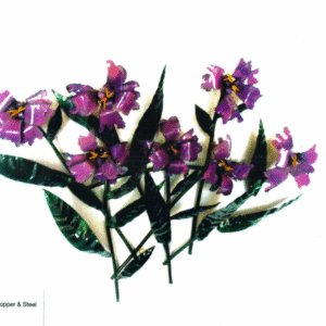 Iris Blooms